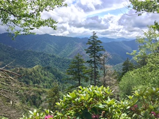 Smokey Mountains
