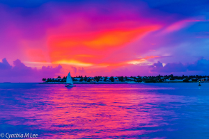 Key West FL Sunset